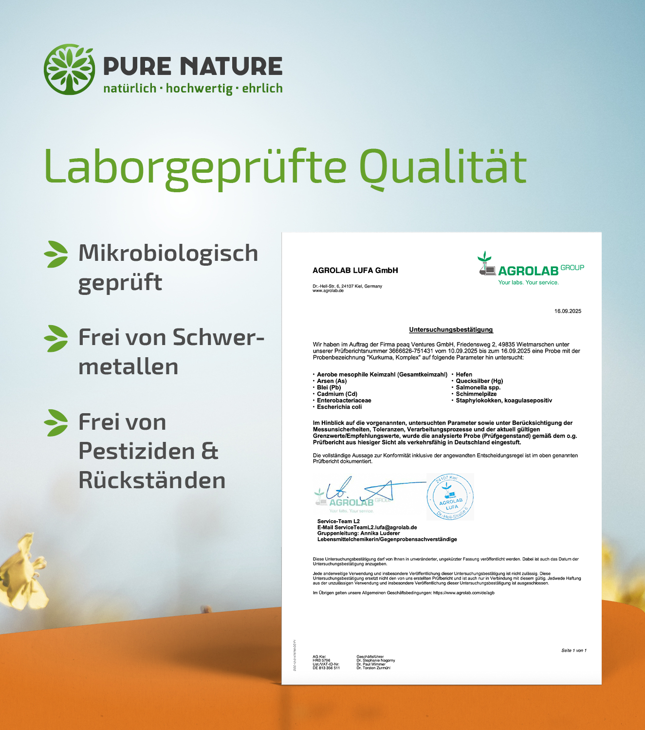 Kurkuma Komplex mit Piperin & Vitamin C - 90 Kapseln