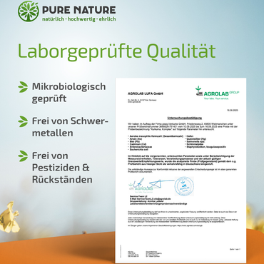 Kurkuma Komplex mit Piperin & Vitamin C - 90 Kapseln