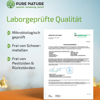 Kurkuma Komplex mit Piperin & Vitamin C - 90 Kapseln