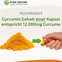 Kurkuma Komplex mit Piperin & Vitamin C - 90 Kapseln