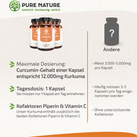 Kurkuma Komplex mit Piperin & Vitamin C - 90 Kapseln