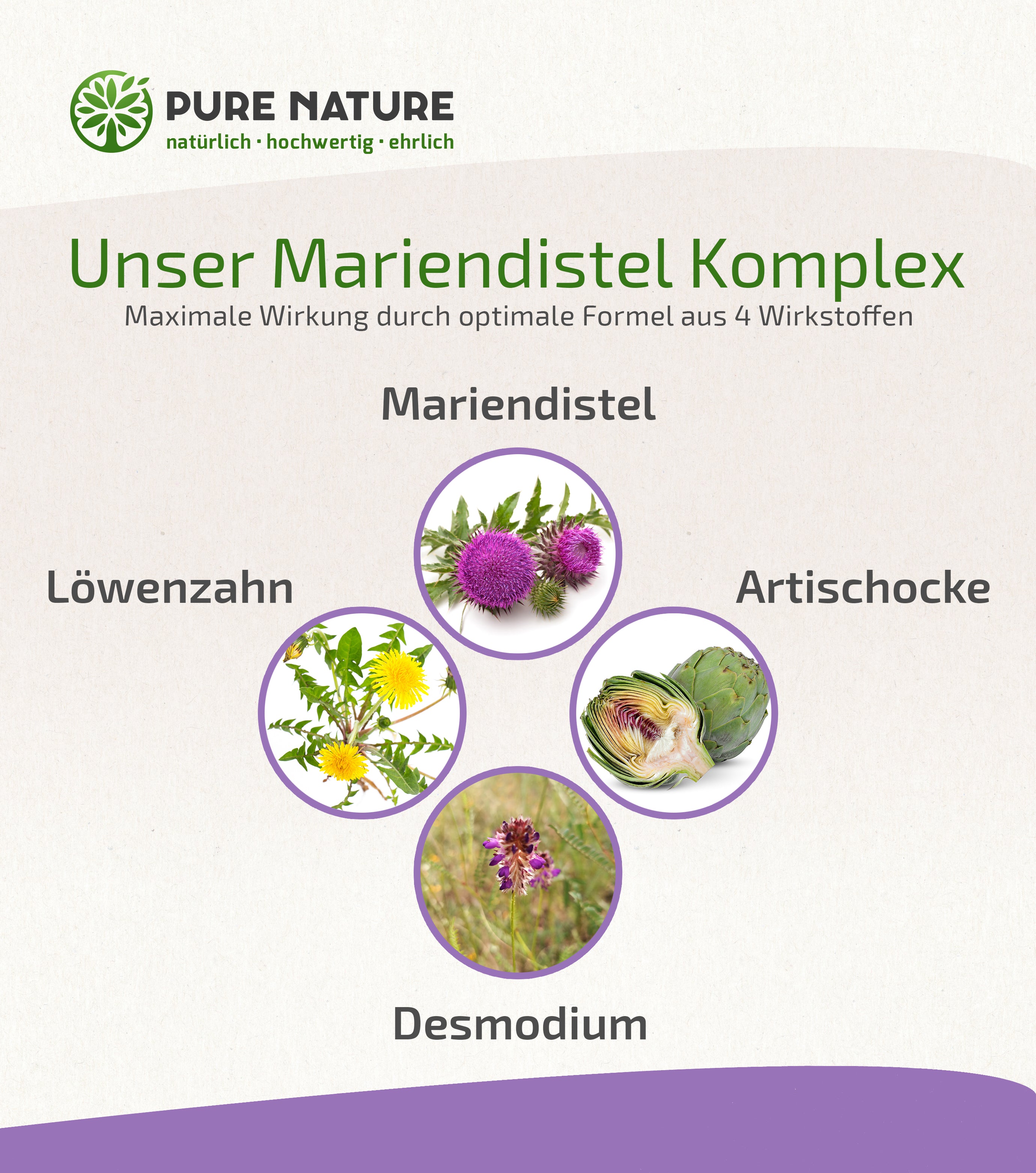 Mariendistel Komplex mit Artischocke, Löwenzahn & Desmodium - 120 Kapseln