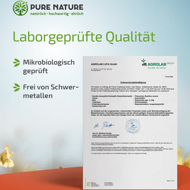 Vitamin B12 mit MHA Formel - 120 Tabletten